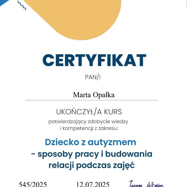 Powiększ obraz: certificate 4