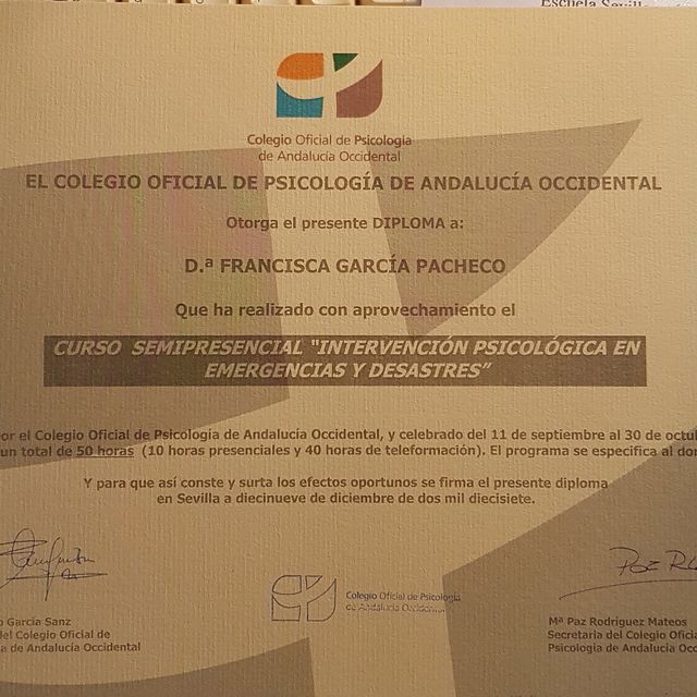 Acercar imagen: certificate 3