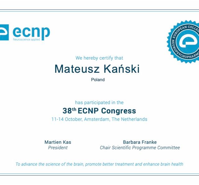 Powiększ obraz: certificate 1