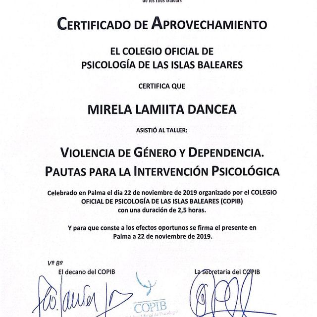 Acercar imagen: certificate 11