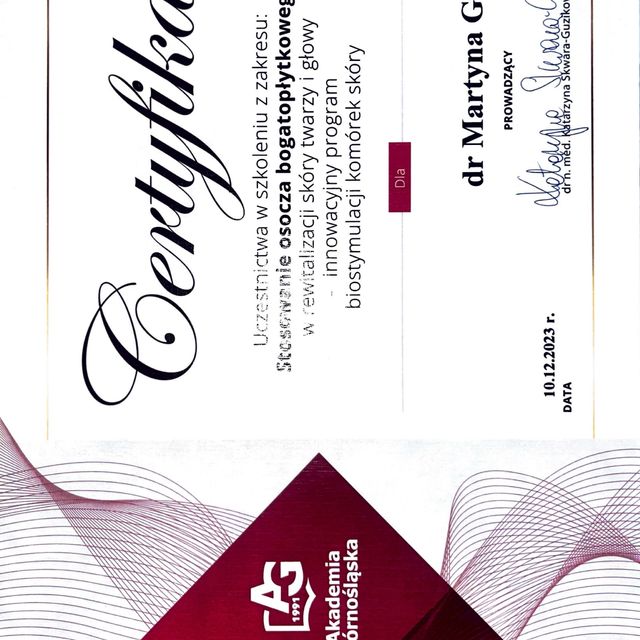 Powiększ obraz: certificate 4