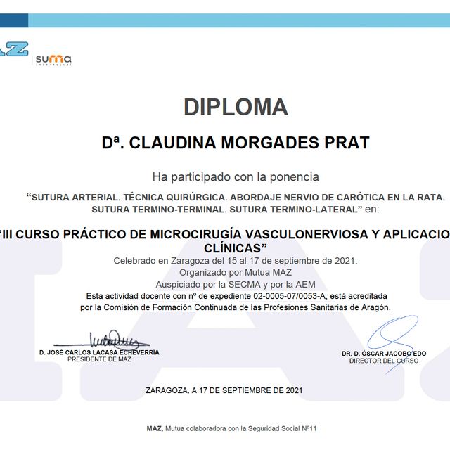 Acercar imagen: certificate 4