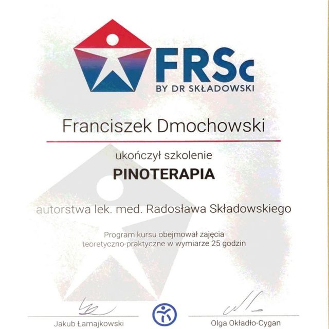 Powiększ obraz: certificate 10