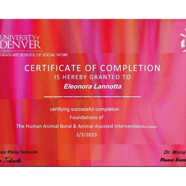 Acercar imagen: certificate 7