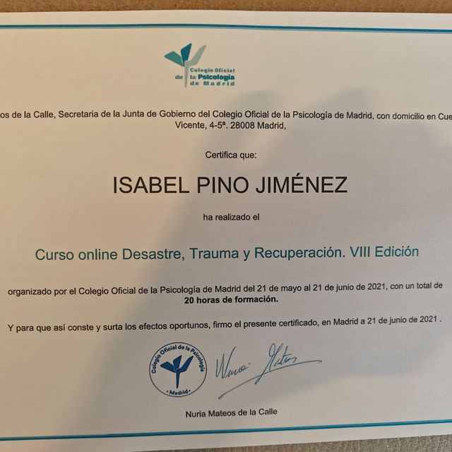Acercar imagen: certificate 6