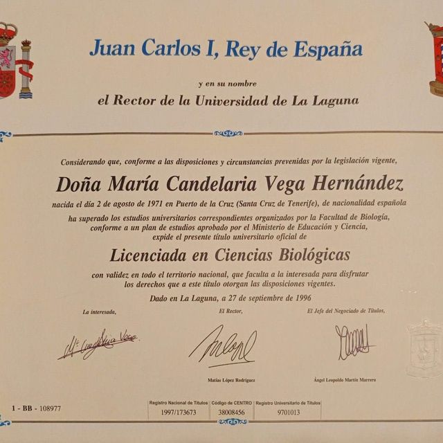 Acercar imagen: certificate 4