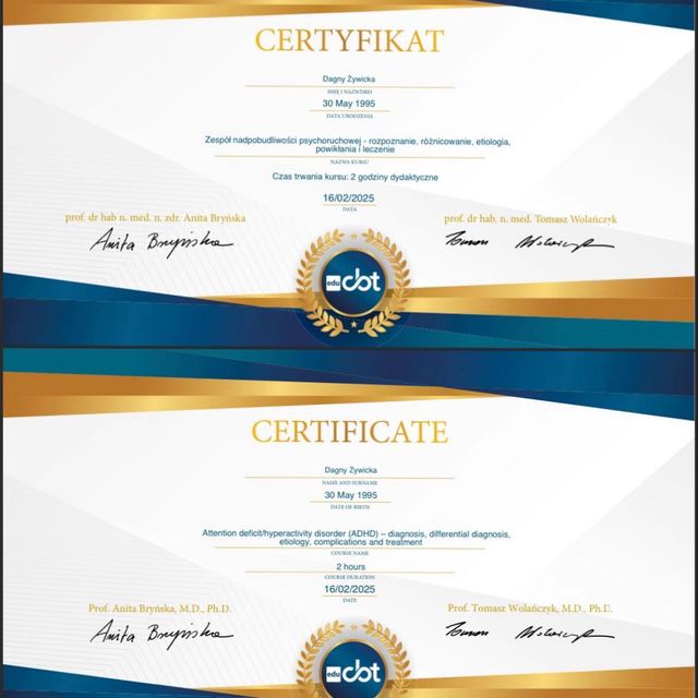 Powiększ obraz: certificate 1