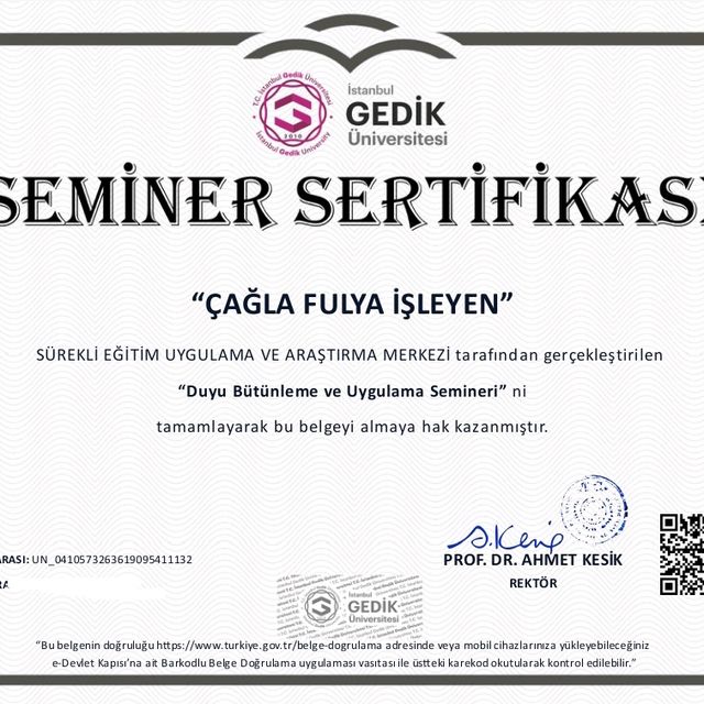Resmi büyüt: certificate 24