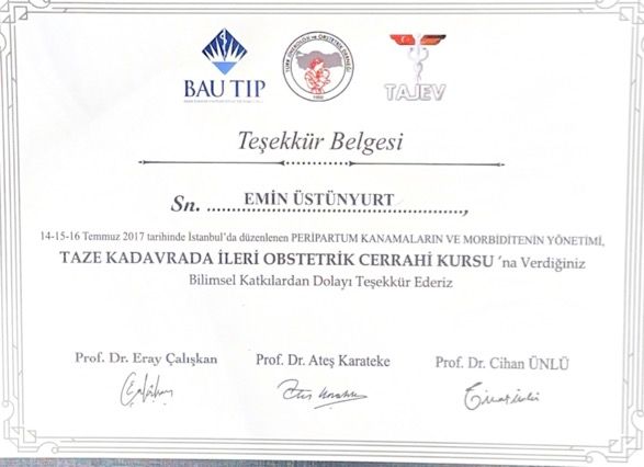 Resmi büyüt: certificate 6
