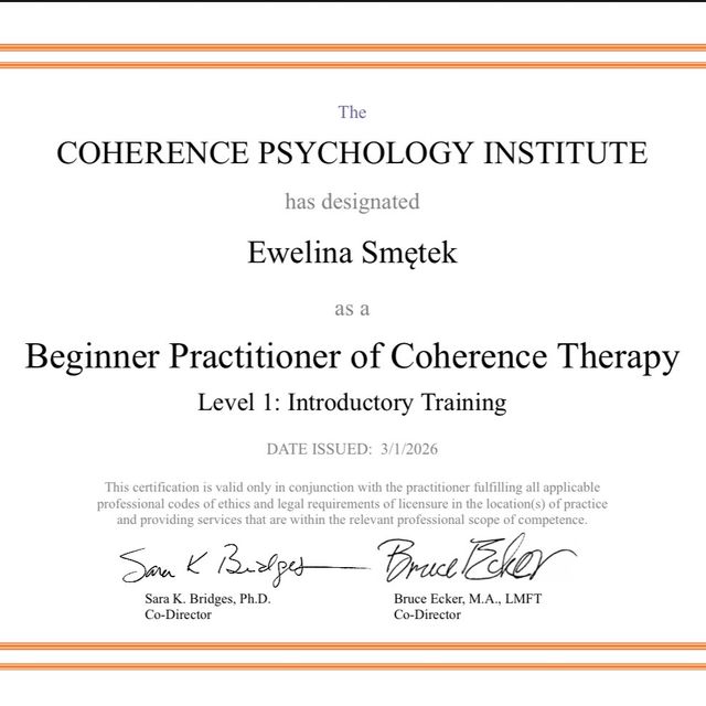 Powiększ obraz: certificate 1