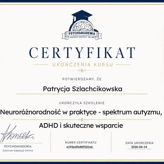 Powiększ obraz: certificate 2