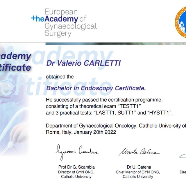 Ingrandire l'immagine: certificate 1