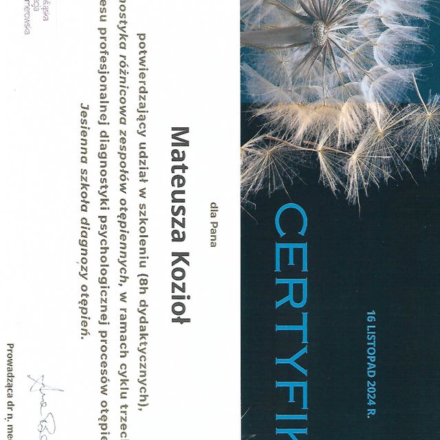 Powiększ obraz: certificate 7