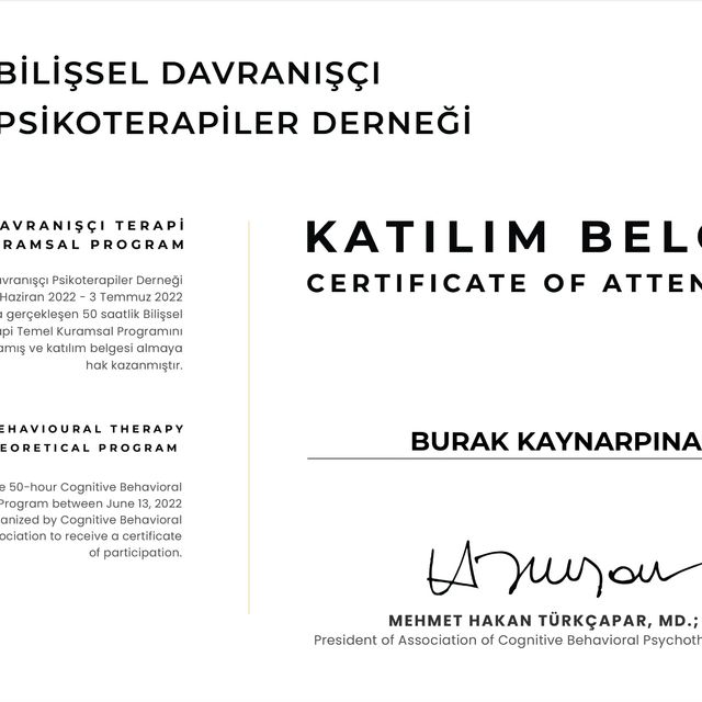 Resmi büyüt: certificate 1