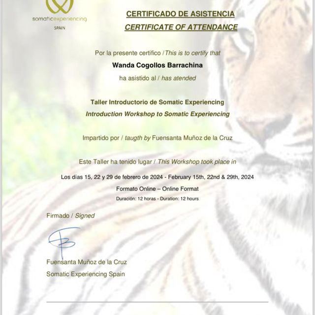 Acercar imagen: certificate 35