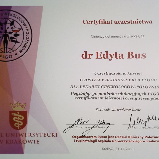 Powiększ obraz: certificate 2