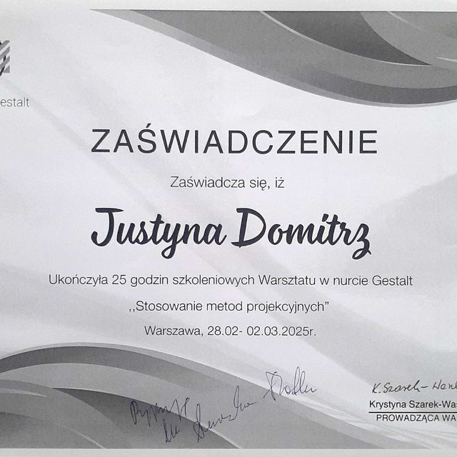 Powiększ obraz: certificate 2