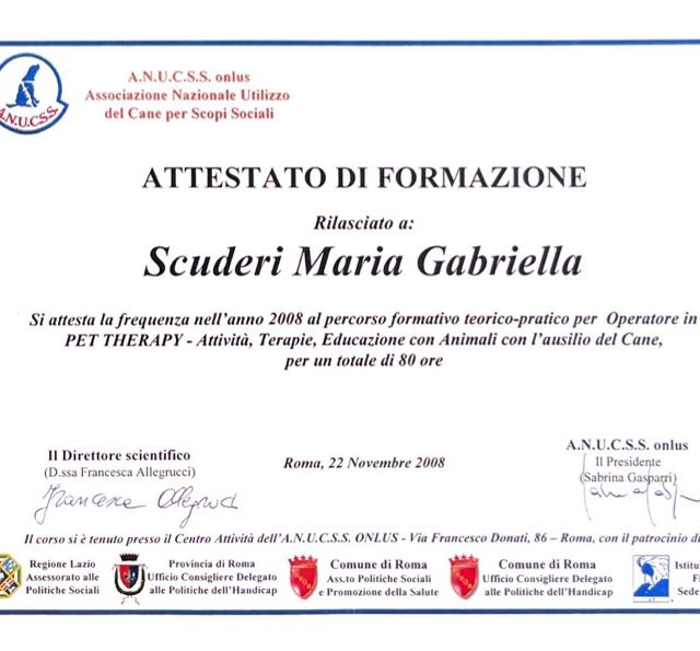 Ingrandire l'immagine: certificate 8