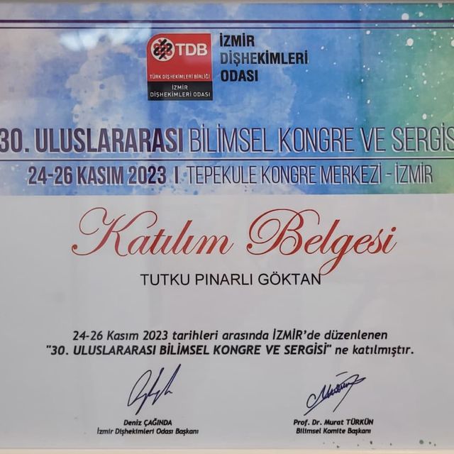 Resmi büyüt: certificate 1