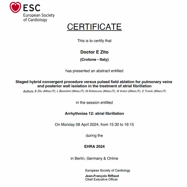Ingrandire l'immagine: certificate 4