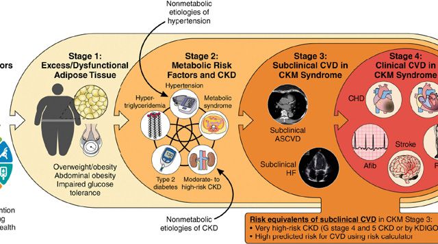 Acercar imagen: certificate 5
