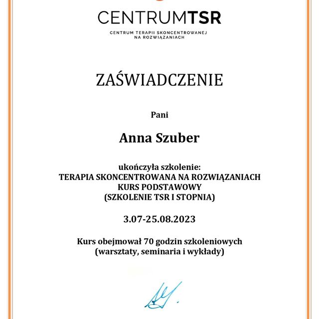 Powiększ obraz: certificate 1
