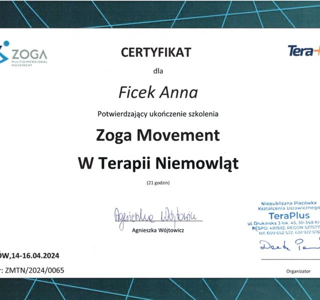 Powiększ obraz: certificate 2