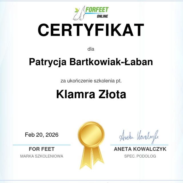 Powiększ obraz: certificate 10