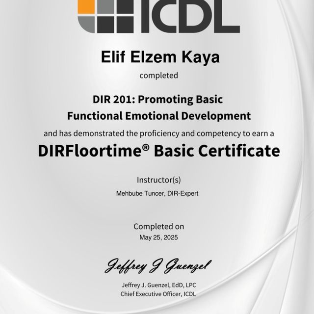 Resmi büyüt: certificate 4