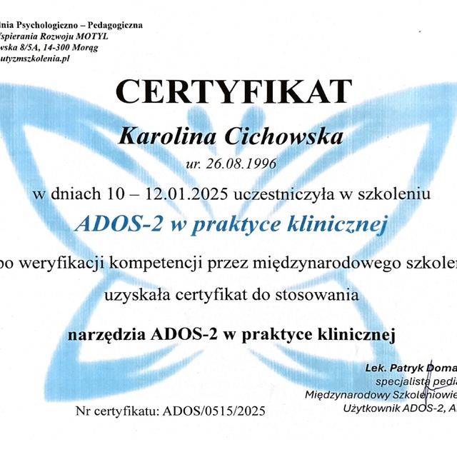 Powiększ obraz: certificate 2