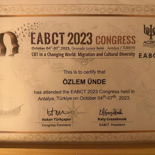 Resmi büyüt: certificate 8