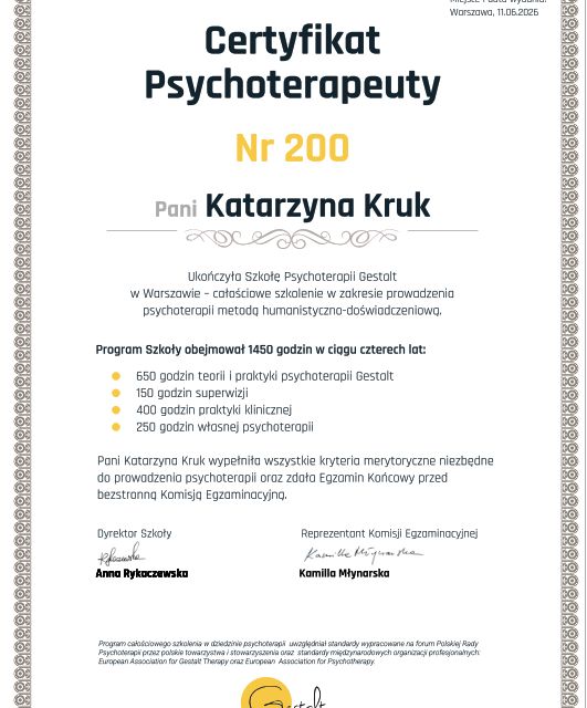 Powiększ obraz: certificate 1