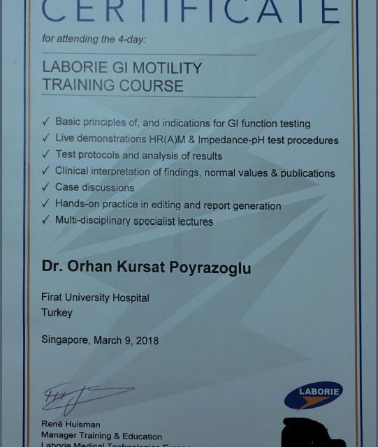 Resmi büyüt: certificate 5