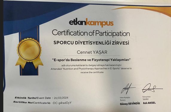 Resmi büyüt: certificate 2