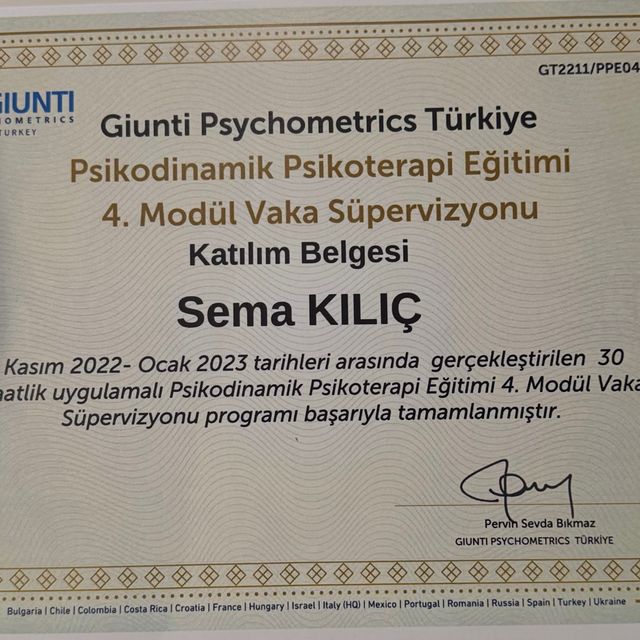 Resmi büyüt: certificate 5