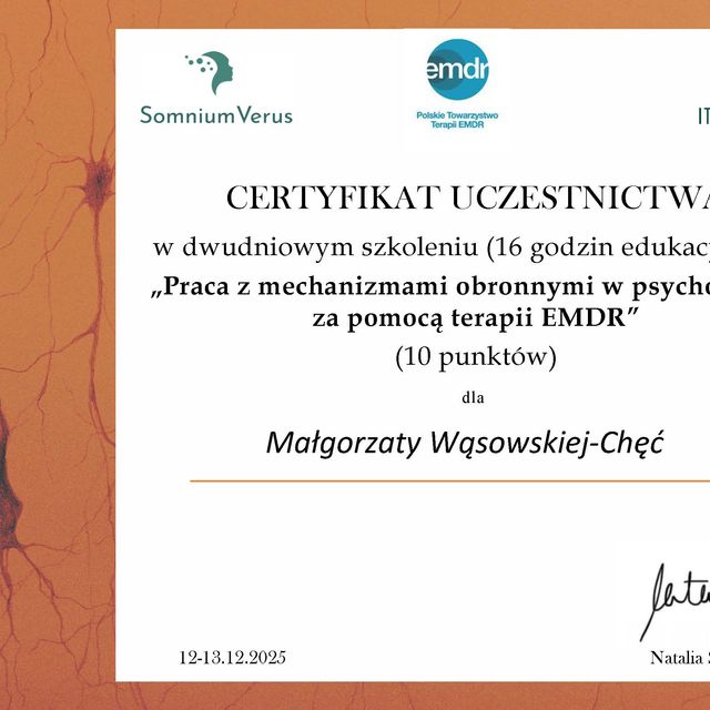 Powiększ obraz: certificate 133