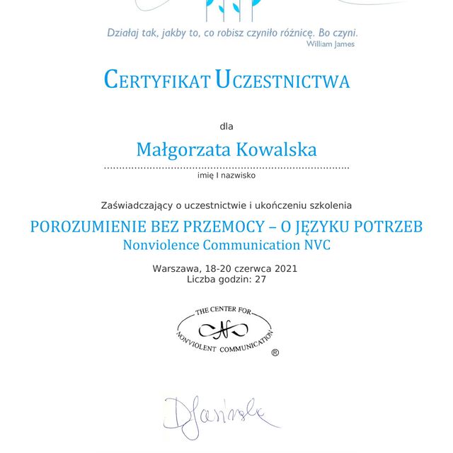 Powiększ obraz: certificate 8