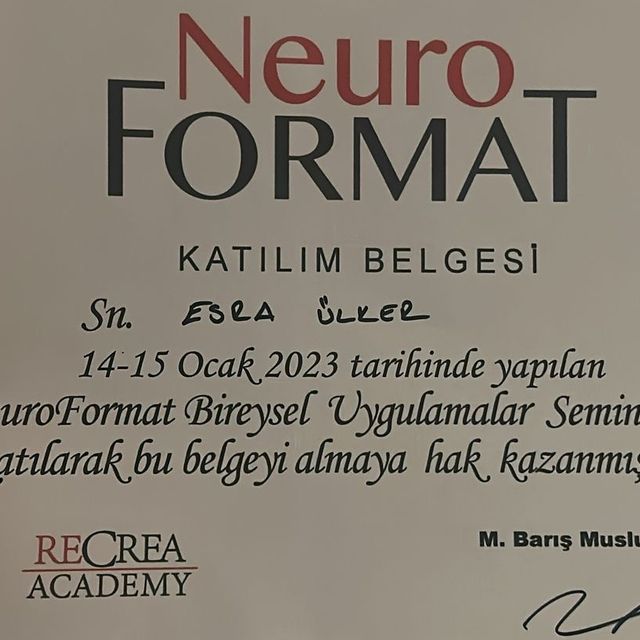 Resmi büyüt: certificate 1