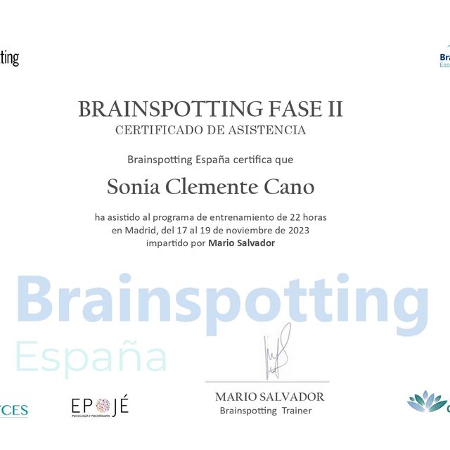 Acercar imagen: certificate 9