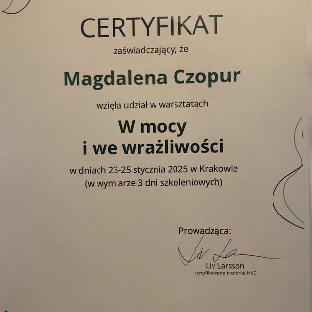 Powiększ obraz: certificate 1