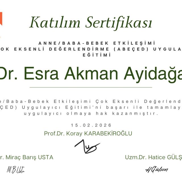 Resmi büyüt: certificate 5