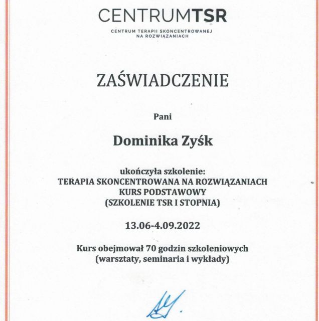 Powiększ obraz: certificate 3