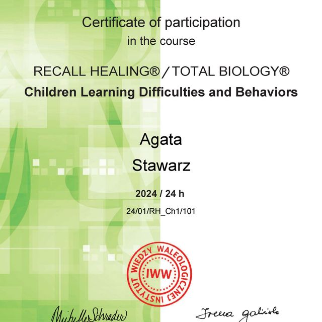 Powiększ obraz: certificate 8