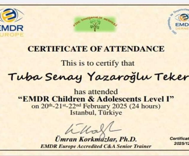 Resmi büyüt: certificate 7