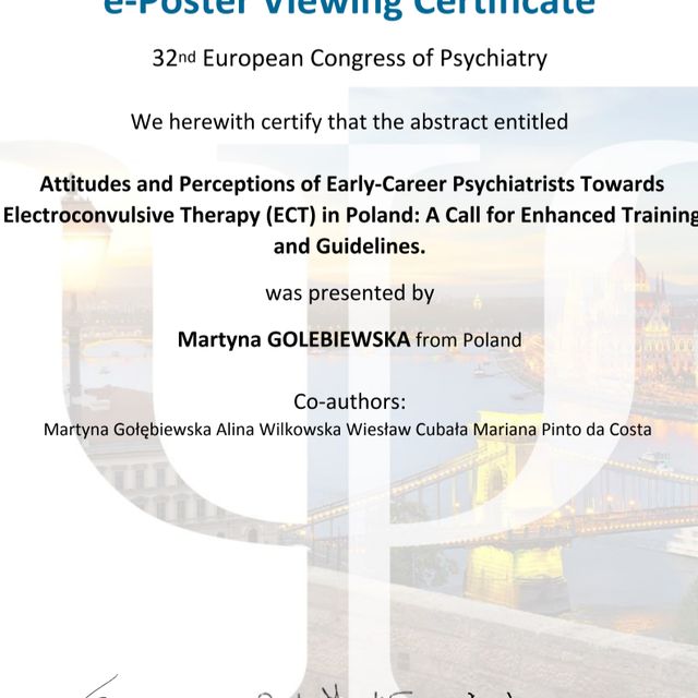 Powiększ obraz: certificate 1