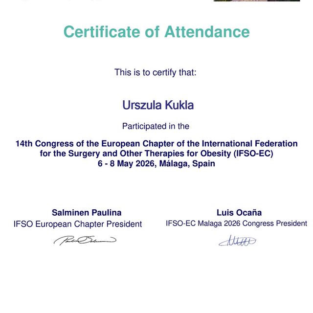 Powiększ obraz: certificate 7
