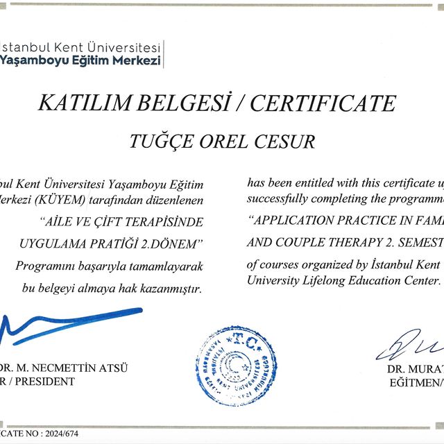 Resmi büyüt: certificate 3