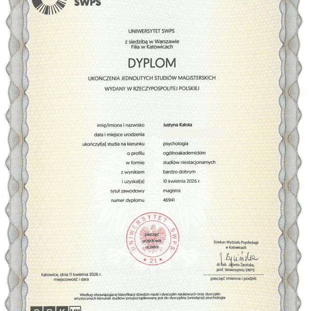 Powiększ obraz: certificate 1