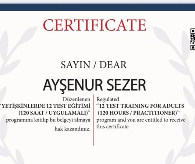 Resmi büyüt: certificate 3