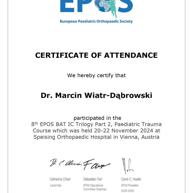 Powiększ obraz: certificate 2